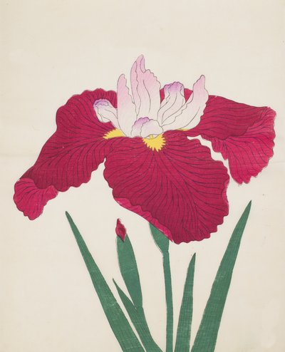 Yamamatayama, No. 83, 1890 (renkli tahta baskı) by Japanese School