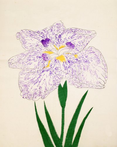 Yamato Nishiki. 31, 1890 by Japanese School