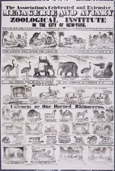 Derneğin New York Şehrindeki Zooloji Enstitüsünden Ünlü ve Kapsamlı Hayvan Hayvanları ve Kafesleri by Jared W. Bell
