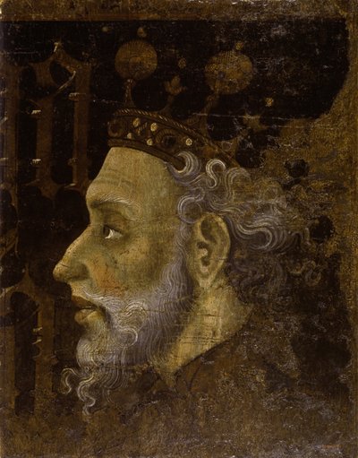 Alfonso V 1396-1458, Aragon Kralı by Jaume Mateu