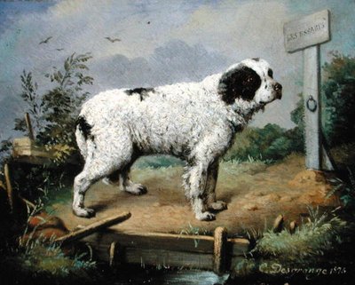 Bir Dolgu Üzerinde Bir Newfoundland by Jean Baptiste Desgrange