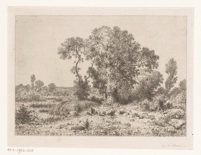 Bir bataklıkta ağaç grubu by Jean Alexis Achard
