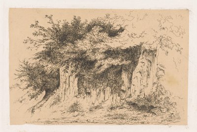 Toprak bir duvardaki çalılar by Jean Alexis Achard