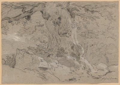 Yaşlı Ağaç Gövdesi Çalışması by Jean Antoine Linck