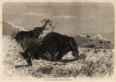 Dahomyan Amazonları tarafından fil avı by Jean Antoine Valentin Foulquier