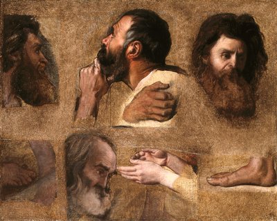 Doktorlar Arasında İsa İçin Çalışmalar (ahşap üzerine tuval üzerine yağlı boya) by Jean Auguste Dominique Ingres
