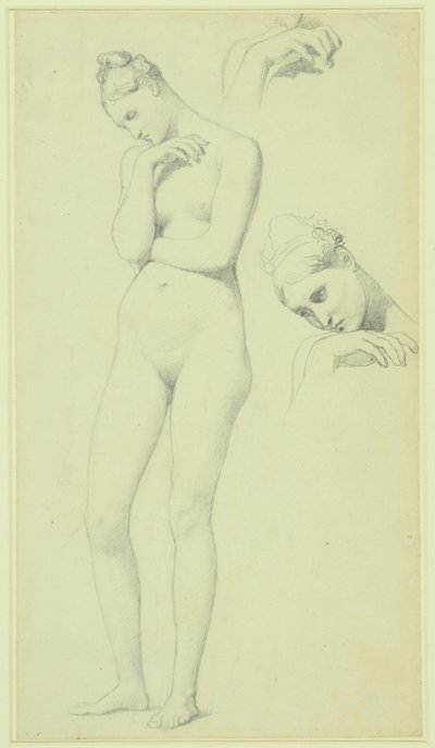  by Jean Auguste Dominique Ingres