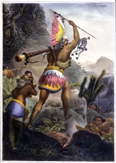 Emeklilik için Sinyal Veren Bir Coroado Kızılderilisi, 1839 (renkli lito) by Jean Baptiste (after) Debret