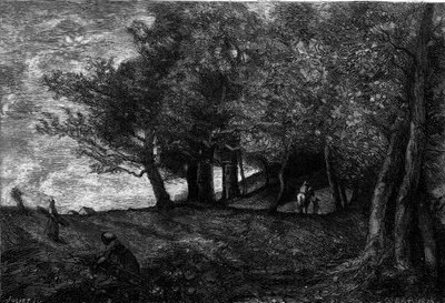 Bucheron