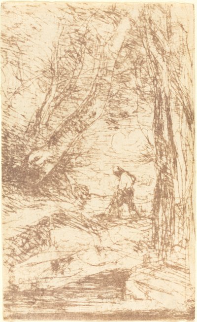 Rembrandt