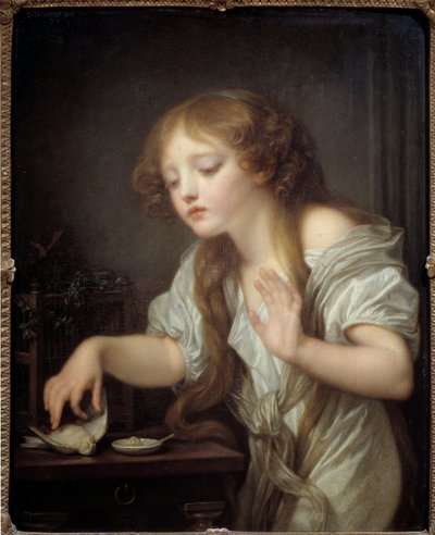 Genç kız, ölü ya da ölü kuş korkusuyla bir kuşa dokunmaktan çekiniyor. Boyama Jean Baptiste Greuze (1725-1805) 1800 Güneş. 0,68x0,55 m by Jean Baptiste Greuze