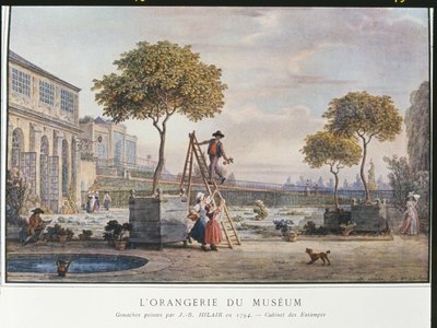The Orangerie at the Museum in Paris in 1794  by Jean Baptiste Hilair