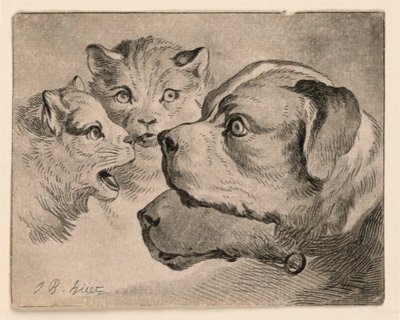 Kedi ve Köpek Başkanları by Jean Baptiste Huet