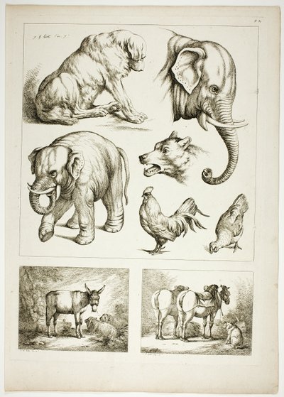 Oeuvres de J. B. Huet