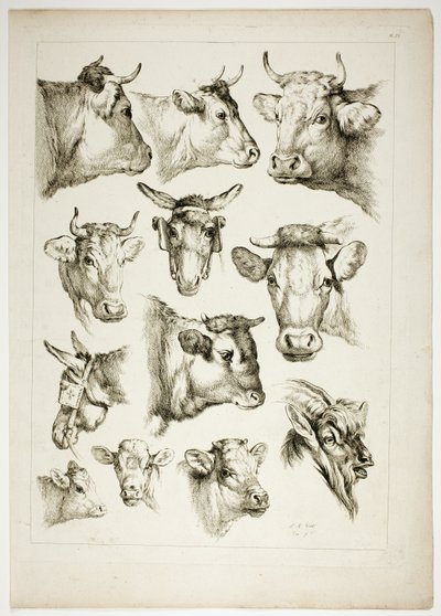 Oeuvres de J. B. Huet