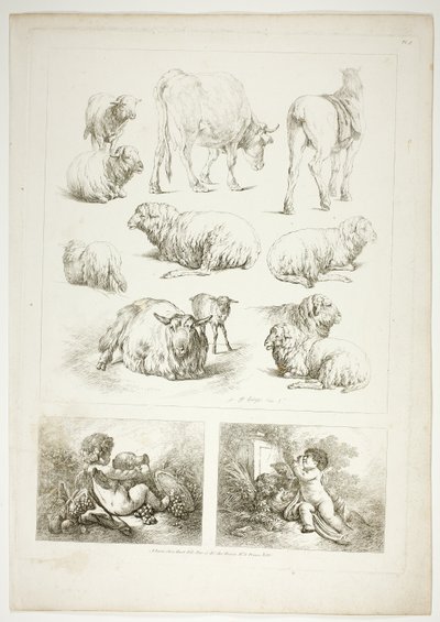 Oeuvres de J. B. Huet