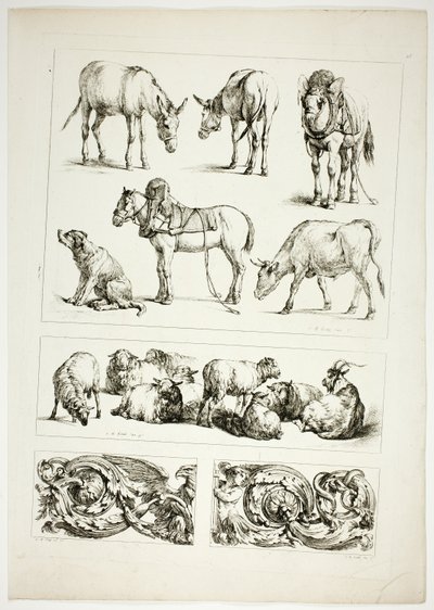 Oeuvres de J. B. Huet