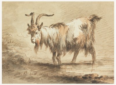 Keçi Çalışması by Jean Baptiste Huet