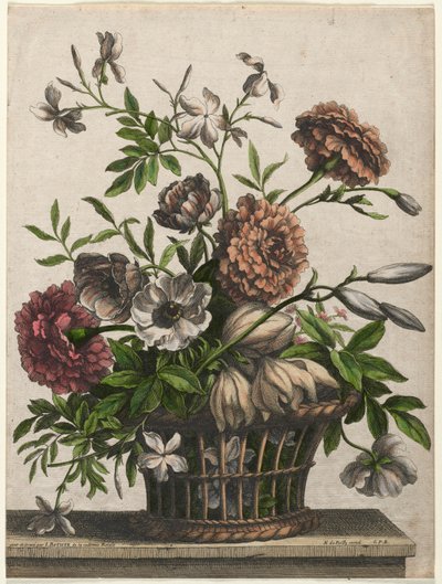 Kadife çiçeği, bekar Anemon, Yasemin... by Jean Baptiste I Monnoyer