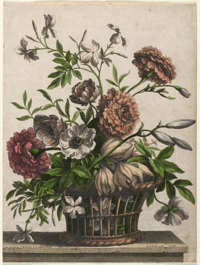 Kadife çiçeği, bekar Anemon, Yasemin.... by Jean Baptiste Monnoyer I