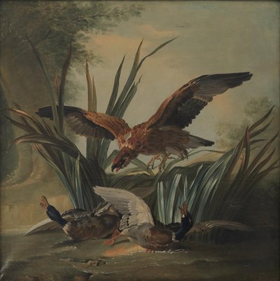 Bir Çift Ördek Üzerinde Zımbalayan Bir Şahin by Jean Baptiste Oudry