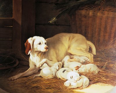 Bitch nursing puppies, detail from Lise et ses petits, by Jean-Baptiste Oudry (1686-1755), France by Jean Baptiste Oudry