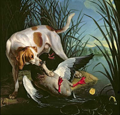 Yaban ördeği olan köpek by Jean Baptiste Oudry