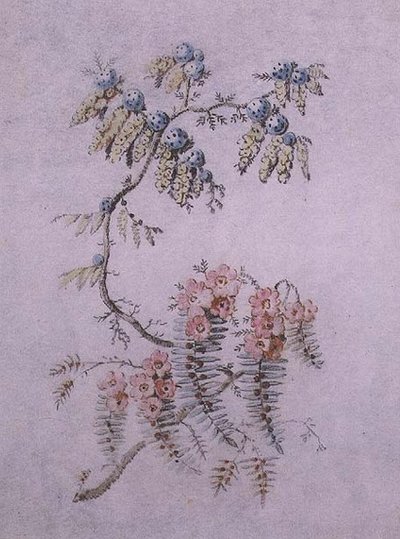 Çiçeklerin ve Meyvelerin Dekoratif Çalışması by Jean Baptiste Pillement