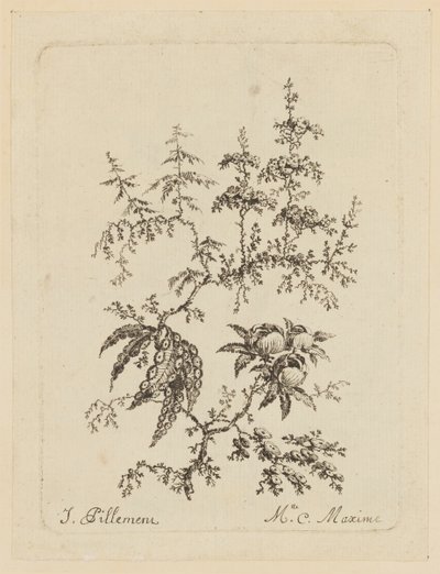 fantastik çiçek by Jean Baptiste Pillement