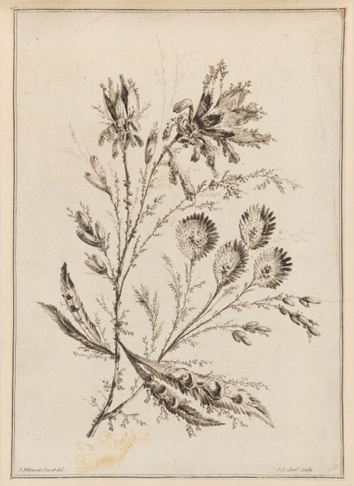 çiçek dalı by Jean Baptiste Pillement