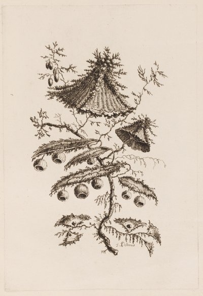 "Fleurs Persanes" den Çiçek Dalı by Jean Baptiste Pillement