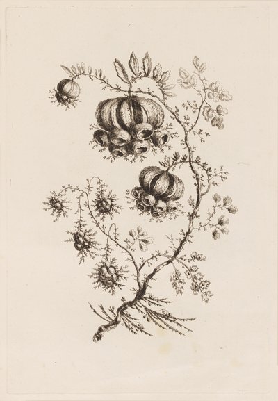 "Fleurs Persanes" den Çiçek Dalı by Jean Baptiste Pillement