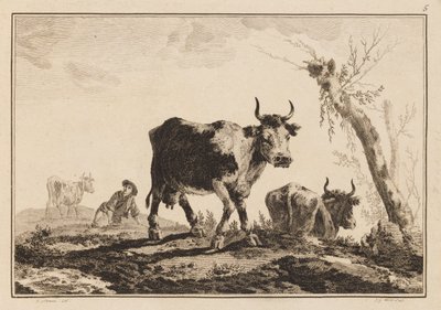 Plaka 5, "Altı Yaprak Öküz ve İnek Defteri" by Jean Baptiste Pillement