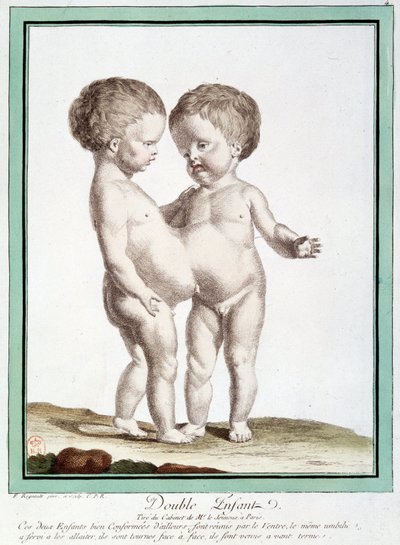 Siyam çocukları - Régnault