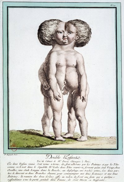 Siyam çocukları - Régnault