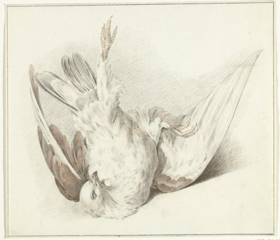 ölü güvercin by Jean Bernard