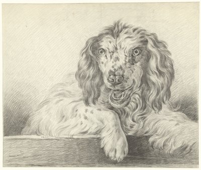 Köpek by Jean Bernard