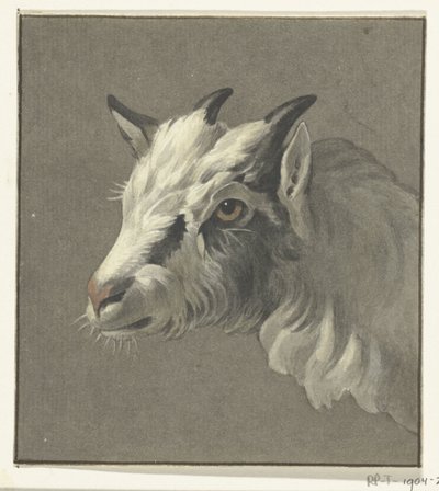 Bir keçinin başı, solda by Jean Bernard