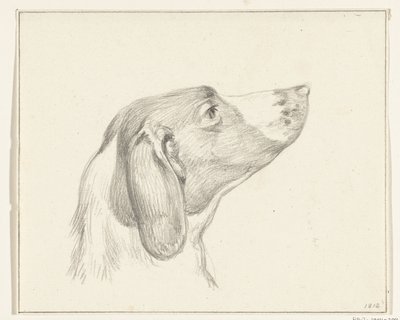 Bir köpeğin başı, sağda by Jean Bernard