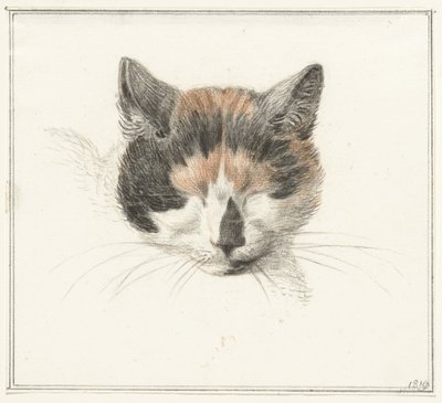 Bir patiska kedinin başı, önden gözleri kapalı by Jean Bernard