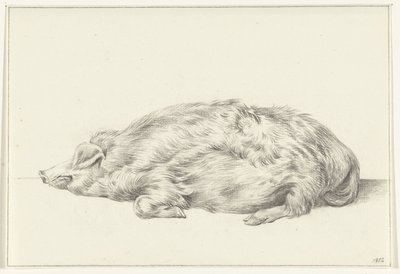 Yalancı domuz, sola by Jean Bernard