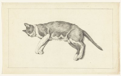 Yukarıdan görülen kedi, solda, yalancı by Jean Bernard
