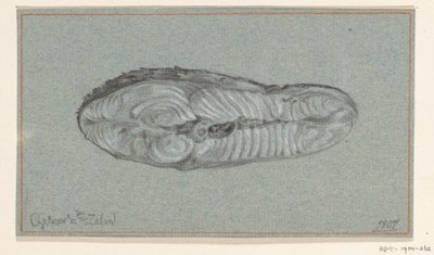 Müslüm pişmiş somon by Jean Bernard