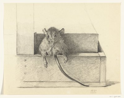Fare (bir tuzakta mı?) by Jean Bernard