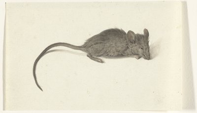 Fare, sağ by Jean Bernard