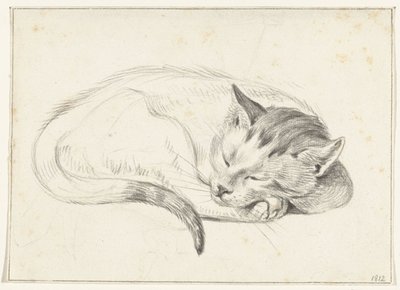 Kıvrılmış, uyuyan kedi by Jean Bernard