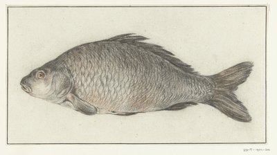 görüş by Jean Bernard