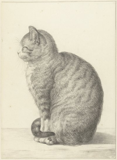 Oturan kedi, solda by Jean Bernard