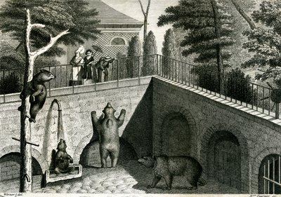 Hayvanat bahçesinde ayı ini by Jean-Charles Werner
