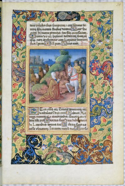Bayan Lat. Q.v.I.126 f.35 Louis dOrleans